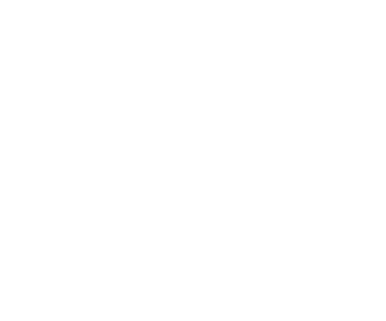 BON Hotels logo
